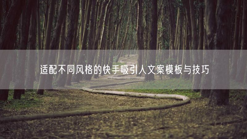 适配不同风格的快手吸引人文案模板与技巧
