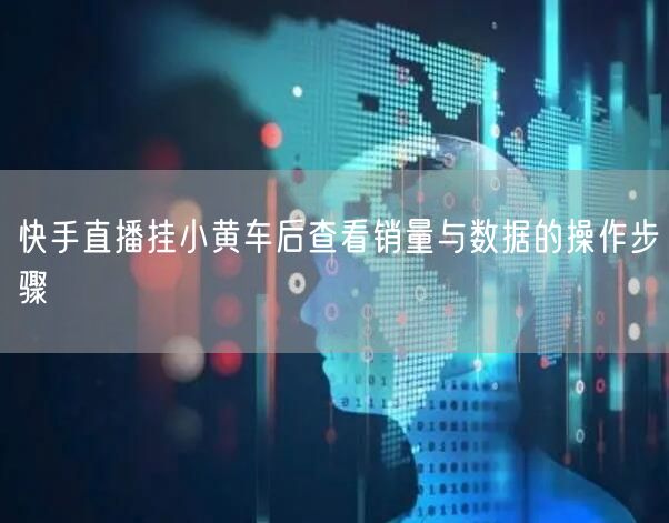 快手直播挂小黄车后查看销量与数据的操作步骤