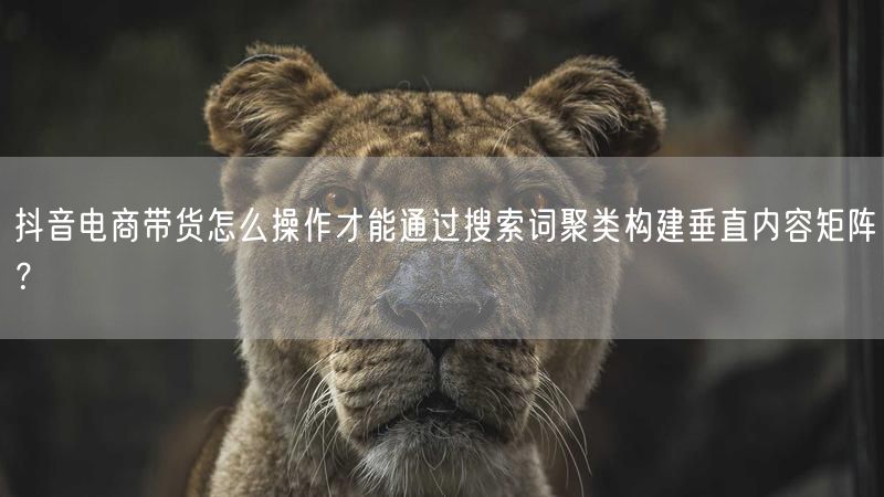 抖音电商带货怎么操作才能通过搜索词聚类构建垂直内容矩阵？