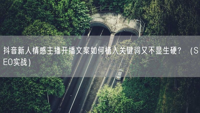抖音新人情感主播开播文案如何植入关键词又不显生硬？（SEO实战）