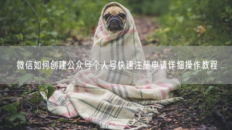 微信如何创建公众号个人号快速注册申请详细操作教程