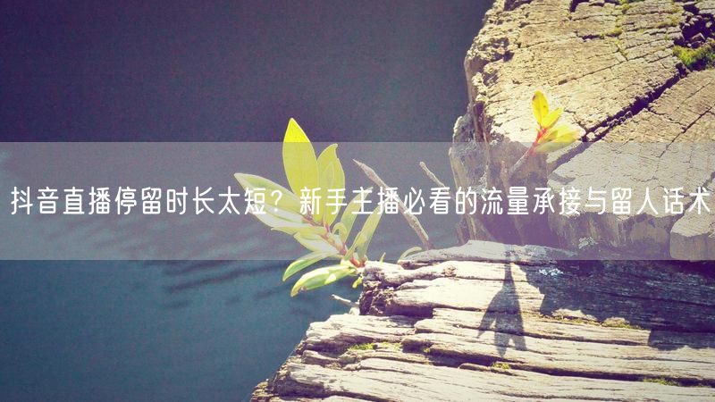 抖音直播停留时长太短？新手主播必看的流量承接与留人话术