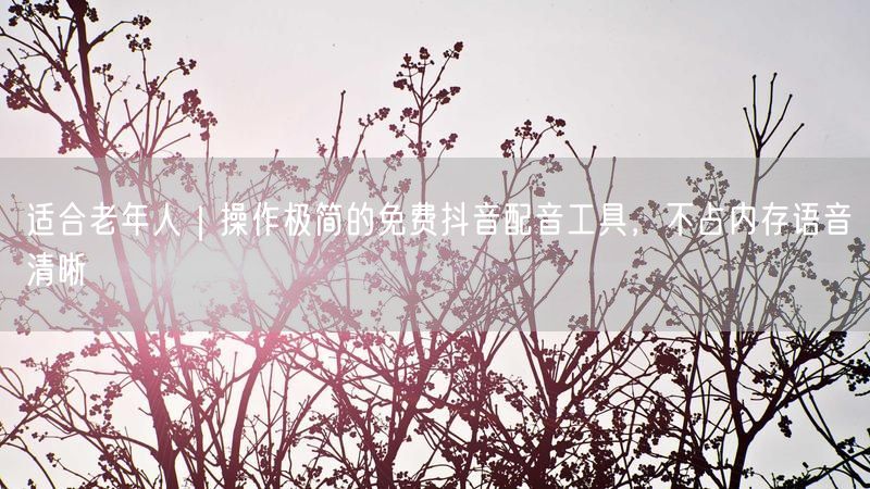 适合老年人｜操作极简的免费抖音配音工具，不占内存语音清晰