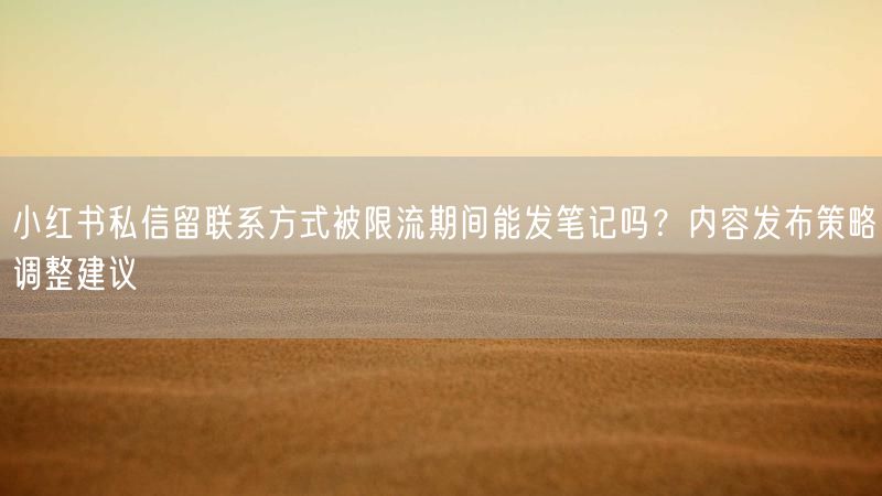 小红书私信留联系方式被限流期间能发笔记吗？内容发布策略调整建议