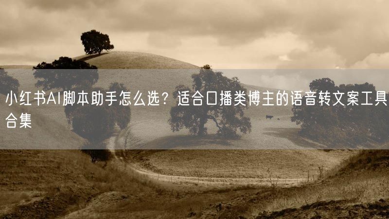 小红书AI脚本助手怎么选？适合口播类博主的语音转文案工具合集