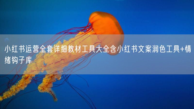 小红书运营全套详细教材工具大全含小红书文案润色工具+情绪钩子库