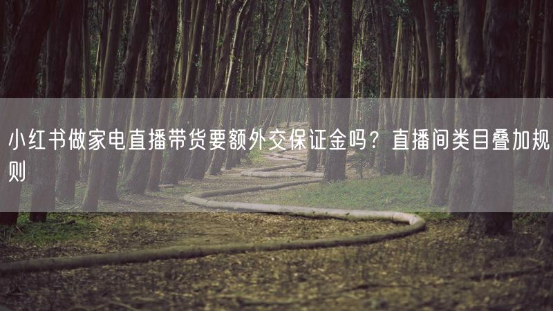 小红书做家电直播带货要额外交保证金吗？直播间类目叠加规则