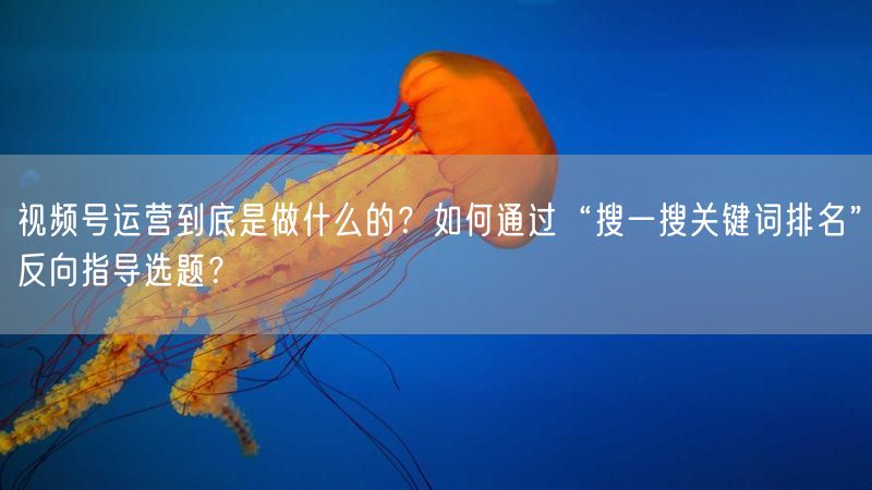视频号运营到底是做什么的？如何通过“搜一搜关键词排名”反向指导选题？