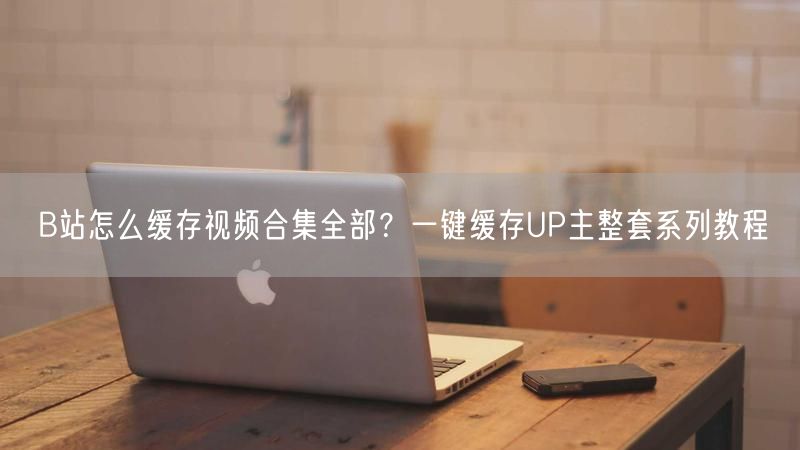 B站怎么缓存视频合集全部？一键缓存UP主整套系列教程