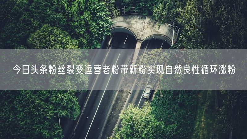 今日头条粉丝裂变运营老粉带新粉实现自然良性循环涨粉