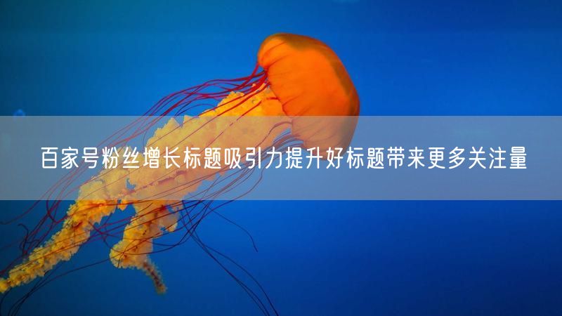 百家号粉丝增长标题吸引力提升好标题带来更多关注量