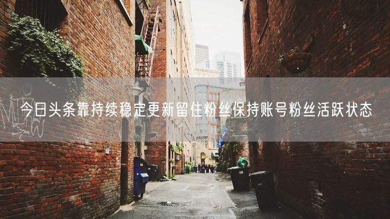 今日头条靠持续稳定更新留住粉丝保持账号粉丝活跃状态