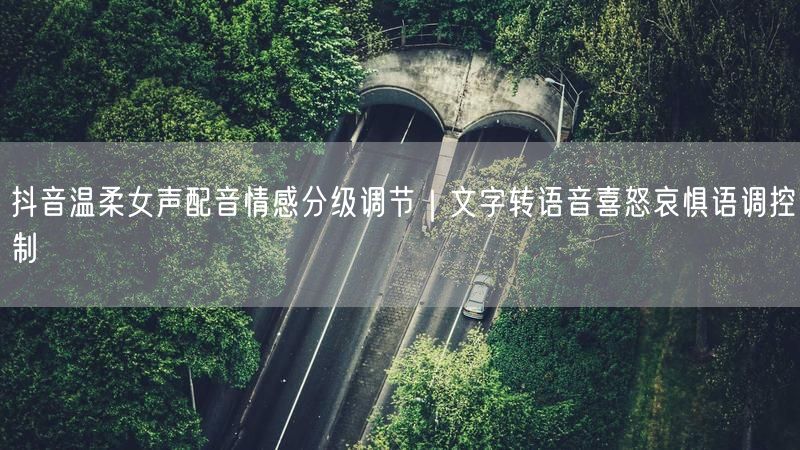 抖音温柔女声配音情感分级调节｜文字转语音喜怒哀惧语调控制