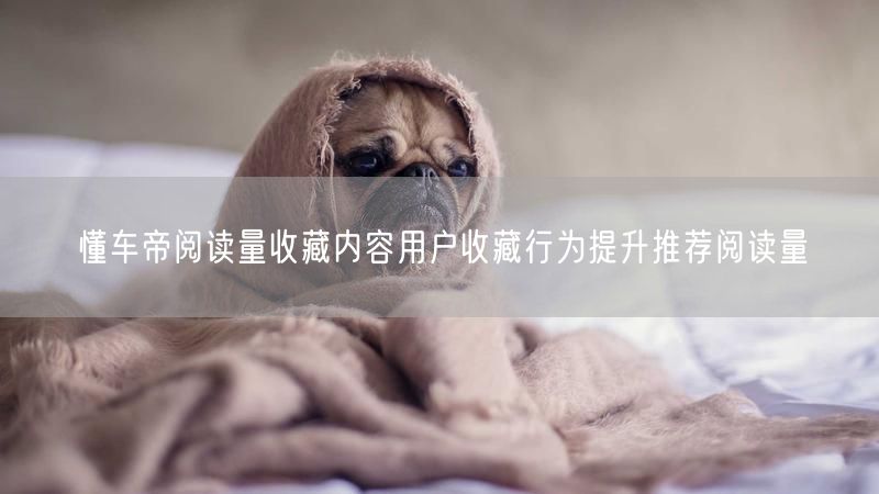 懂车帝阅读量收藏内容用户收藏行为提升推荐阅读量