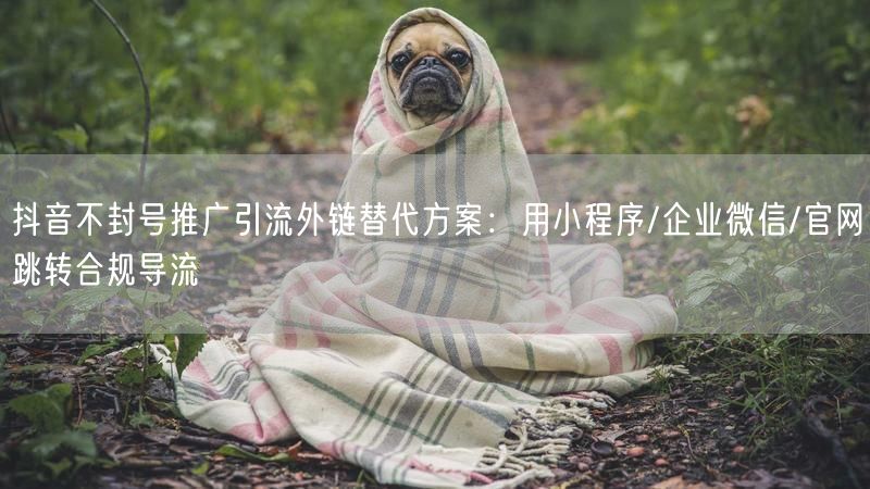 抖音不封号推广引流外链替代方案：用小程序/企业微信/官网跳转合规导流