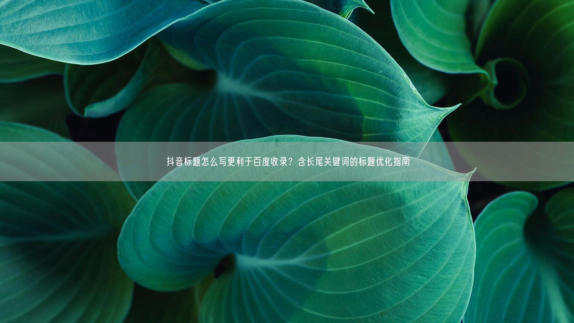 抖音标题怎么写更利于百度收录？含长尾关键词的标题优化指南