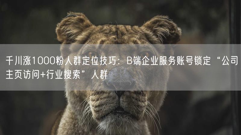 千川涨1000粉人群定位技巧：B端企业服务账号锁定“公司主页访问+行业搜索”人群