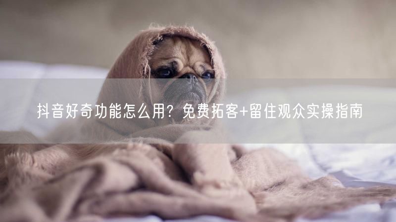 抖音好奇功能怎么用？免费拓客+留住观众实操指南