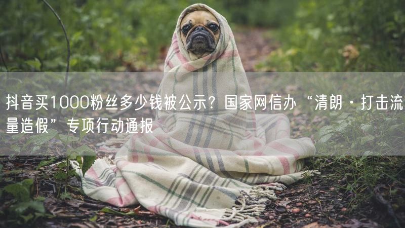 抖音买1000粉丝多少钱被公示？国家网信办“清朗·打击流量造假”专项行动通报